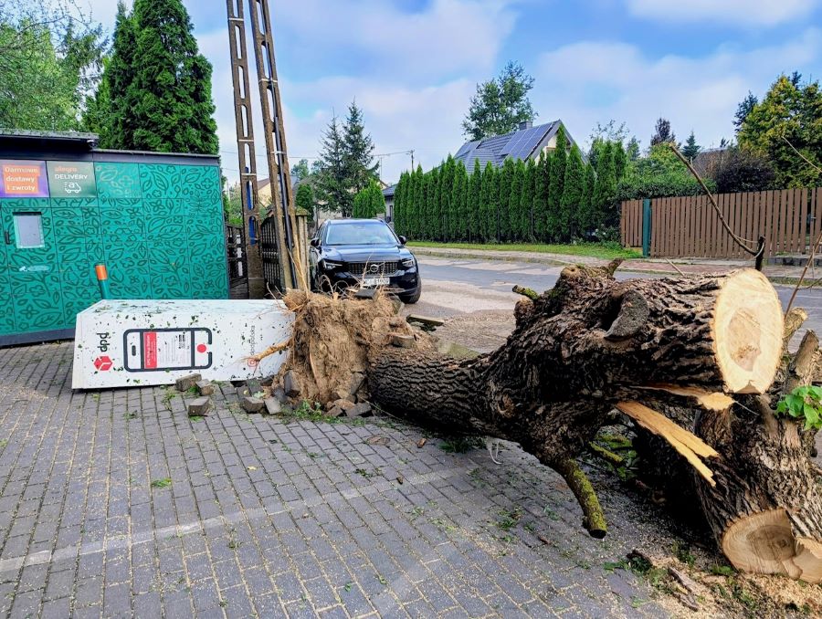 Ponad 180 interwencji strażaków w powiecie ciechanowskim. Uszkodzone dachy i powalone drzewa